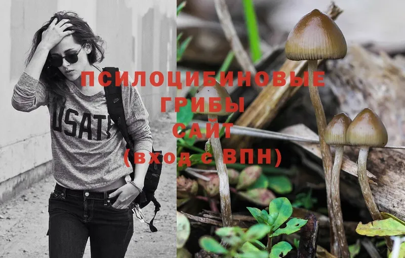 Галлюциногенные грибы Magic Shrooms  Коммунар 